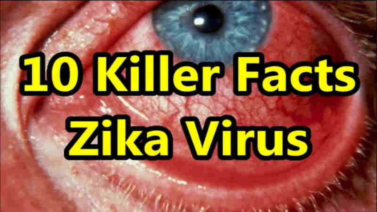 Zika Virus 10 Facts