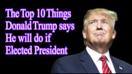 Top 10 Things Trump will do if Elected President