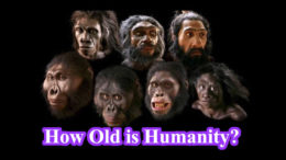 How old is Humanity?